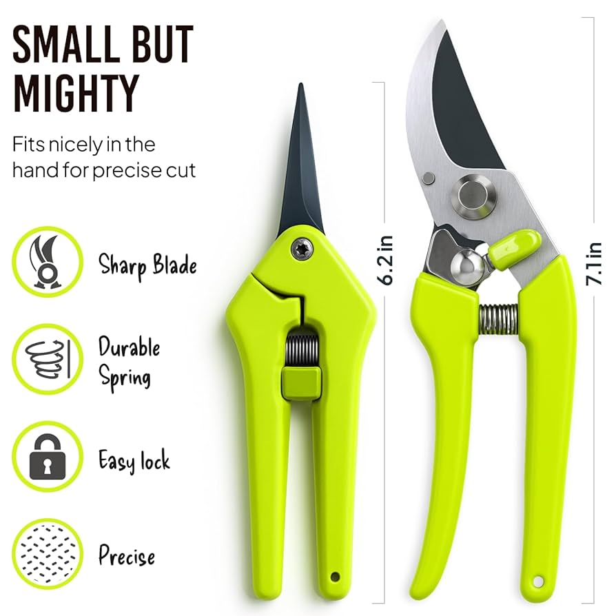 Amazon.com : 2-Pack Stainless Steel Gardening Scissors